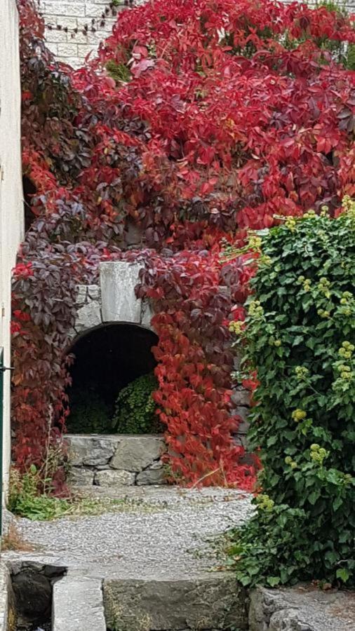 Auberge Du Riou Puget-Rostang Esterno foto