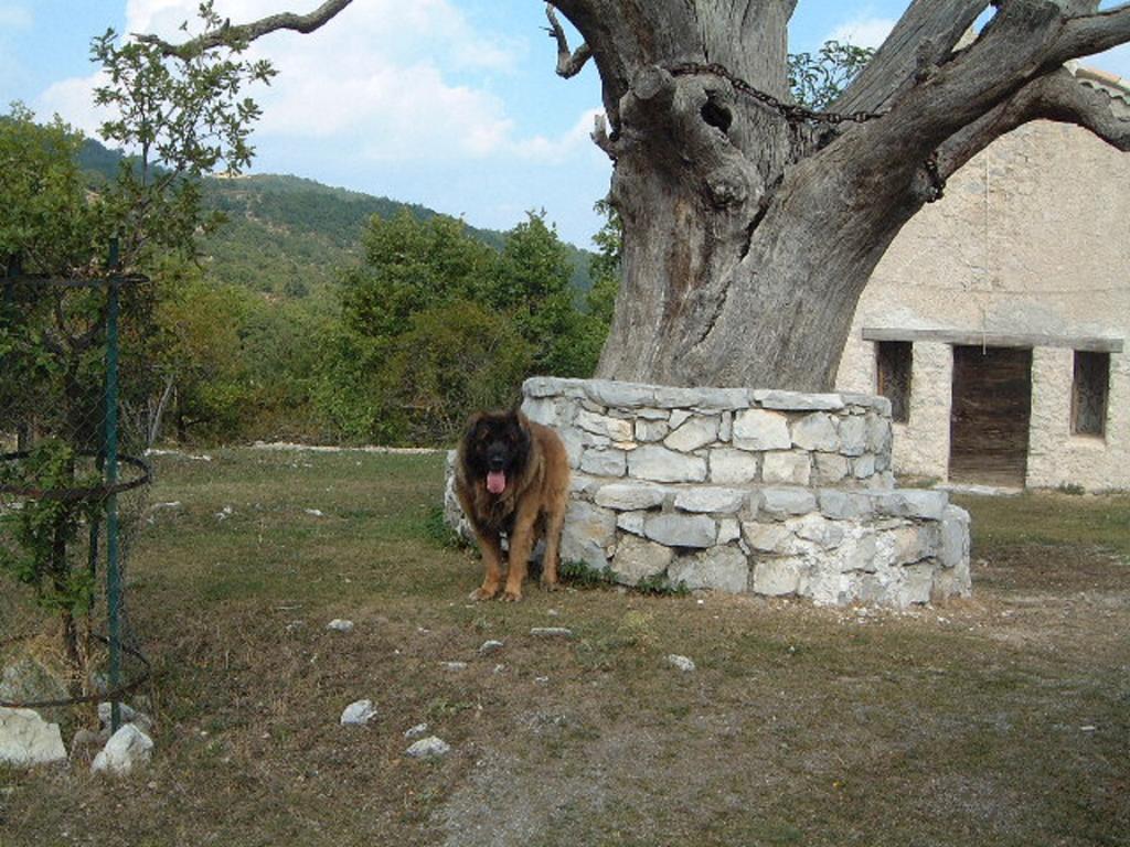 Auberge Du Riou Puget-Rostang Esterno foto